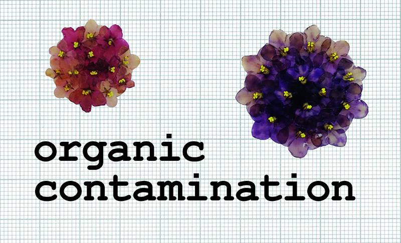 einladung_oc_final_web